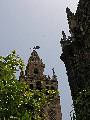Giralda
