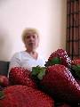 Strawberries