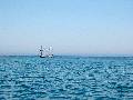 Sailboat on the Lake Michigan