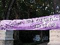 Welcome to Northwestern
